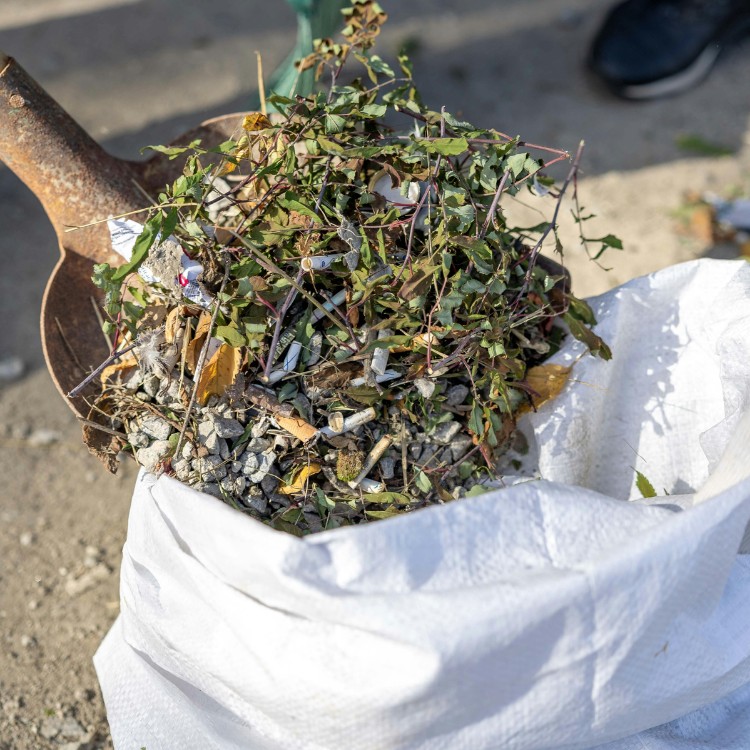 Junk removal services in St. Charles County, MO Junk removal services in St. Charles County, MO